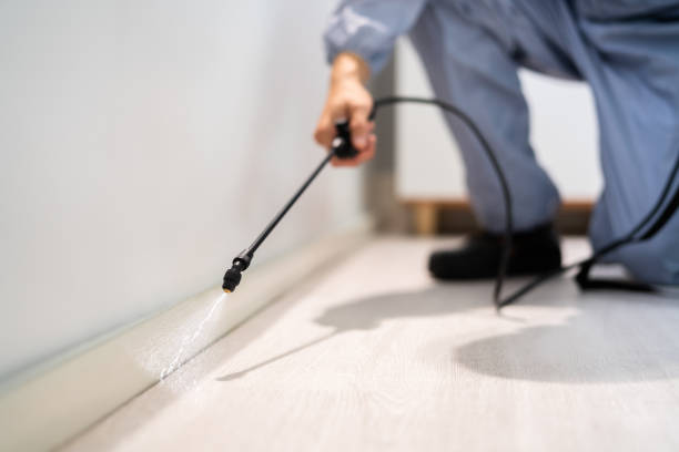 Bed Bug Pre-Treatment Preparation Assessment in Horse Cave
