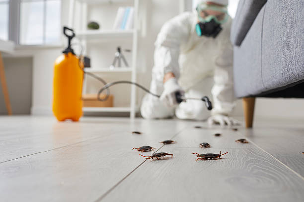 Post-Treatment Bed Bug Interceptor Monitoring in Horse Cave