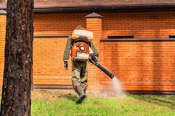 Bed Bug Clearance Verification and Documentation in Horse Cave